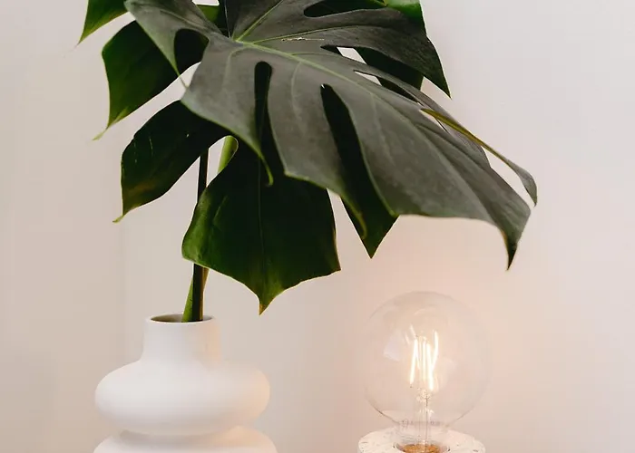 Nocleg ze śniadaniem Chocolate House *